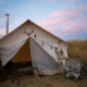 White Duck Alpha Wall Tent, Water Repellent, 10ft x 12ft, WD-0045