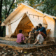 White Duck Alpha Wall Tent, Water Repellent, 16 x 20ft, WD-0024