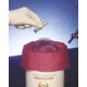 Whitney Terminal Deodorants, Whitney Products BH3001