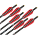 Wicked Ridge Carbon Arrow 20 in, Pack of 6, HEA-723.6