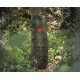 Wildgame Innovations TREEHUGGER 80 lb Feeder System, Trubark, WGIFD0032