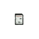 Wildgame Innovations WGI Memory Card, 16 GB, 10 Class WGICA0036