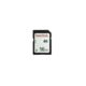 Wildgame Innovations WGI Memory Card, 16 GB, 10 Class, WGICA0036
