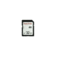 Wildgame Innovations WGI Memory Card, 32 GB, 10 Class WGICA0037