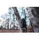 Wildgame Terra XT 2.0 Cellular Camera 24MP, 1410205