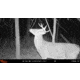 Wildgame Terra XT 2.0 Cellular Camera 24MP, 1410205