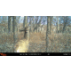 Wildgame Terra XT 2.0 Cellular Camera 24MP, 1410205
