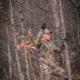 Wildlife Research Center Active-Branch Mock Scrape Kit