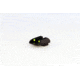 Williams Gun Sight Self Defense Pistol Sights, Springfield XDs, Rear Only, Green/Red, 70988