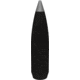Winchester Ballistic Silvertip .300 Winchester Short Magnum 150 grain Fragmenting Polymer Tip Brass Cased Centerfire Rifle Ammo, 20 Rounds, SBST300S