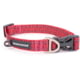 Winchester Pet Signature Ombre Dog Collar, Desert Rose, Medium, WP-WC-DR-M-1