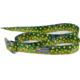 Wingo Outdoors Basecamp Belt, Brook Trout, One Size Fits Most, W-BAS-103-OS