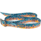 Wingo Outdoors Basecamp Belt, DeYoung Brown Trout, One Size Fits Most, W-BAS-602-OS