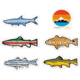 Wingo Outdoors Decal Stickers, 6-Pack, W-DEC-FIS-6PK