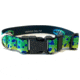 Wingo Outdoors Dog Collar, Mahi Mahi, Small/Medium, W-COL-109-SMD