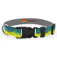 Wingo Outdoors Artisan Dog Collar, Mahi Mahi, Small/Medium, W-COL-125-SMD