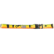 Wingo Outdoors Wading Belts, Peacock Bass, One Size Fits Most, W-WAD-121-OS