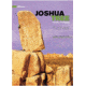 Wolverine Publishing Joshua Tree Rock Climbs 9781938393143