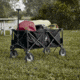 Woods Outdoor Collapsible Utility Standard Wagon, 150 lb Capacity, Black, CTI0765541
