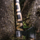 WOOX VOLANTE Axe, Carbon Steel Blade, Black Hickory, Black/Wood, BU.AXE002.01