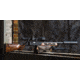 WOOX Merica Precision Stock, Ruger 10/22, Walnut, SH.GNS051.13