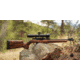 WOOX Elegante Hybrid Precision Ruger American Rifle Gen 2 Wood Rifle Stock w/Integrated Mini-Chassis, Right Hand, Short Action, High Grade Walnut/Brown, SH.GNS075.04