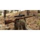WOOX Elegante Hybrid Precision Ruger American Rifle Gen 2 Wood Rifle Stock w/Integrated Mini-Chassis, Right Hand, Short Action, High Grade Walnut/Brown, SH.GNS075.04