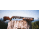 WOOX Gladiatore Collapsible Shotgun Stock &amp; Forend Set