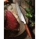Xin Cutlery Chefs Knife XC136