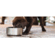 Yeti Boomer 4 Dog Bowl, Stainless Steel, 21071500010