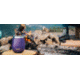 Yeti Rambler 10 oz Wine Tumbler, Peak Purple, 21090000041