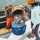 Yeti Hopper M30 Tote Soft Cooler
