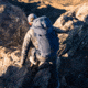 Yeti Mens Skala Backpack