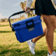 Yeti Roadie 8 Quart Hard Cooler