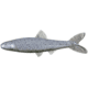 Yum Ned Minnow Bait, 3in, Gray Pearl Black Flk, YNM3369