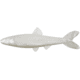 Yum Ned Minnow Bait, 3in, Pearl, YNM3368