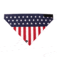 Zanheadgear 3-in-1 USA Flag BV015