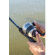 Zebco 33 Spincast Reel, 10#C, 33N.CP3