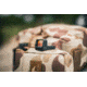 ZeroTech Optics Thrive HD Series RMSc Footprint 1x21mm Micro Reflex Sight, 3MOA, Black, THDM21