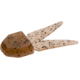 Zoom Small Chunk Jig Trailer, 5 Pack, 2.5in, Pumpkin, 027013X