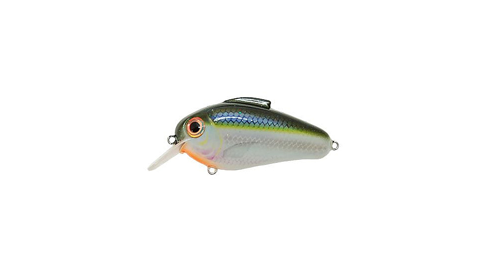 Bill Lewis Echo Soft Bait, 1, 2.25 -- 2.25in, Blue Shiner, BLF-EC260