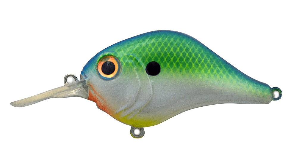 Bill Lewis MR 6 Shad, 1, 2.25 -- 2.25in, Citrus Shad, BLF-6MR696