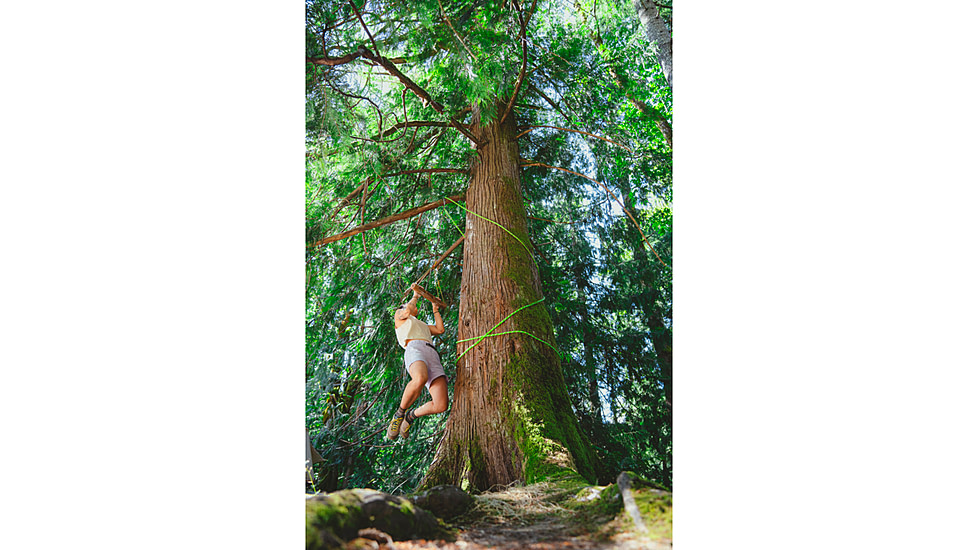 Black Diamond Ethos Shorts - Womens, White Oak, Small, AP7501572019SML1