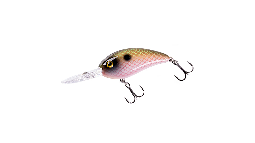 Bomber scharlso 453098
