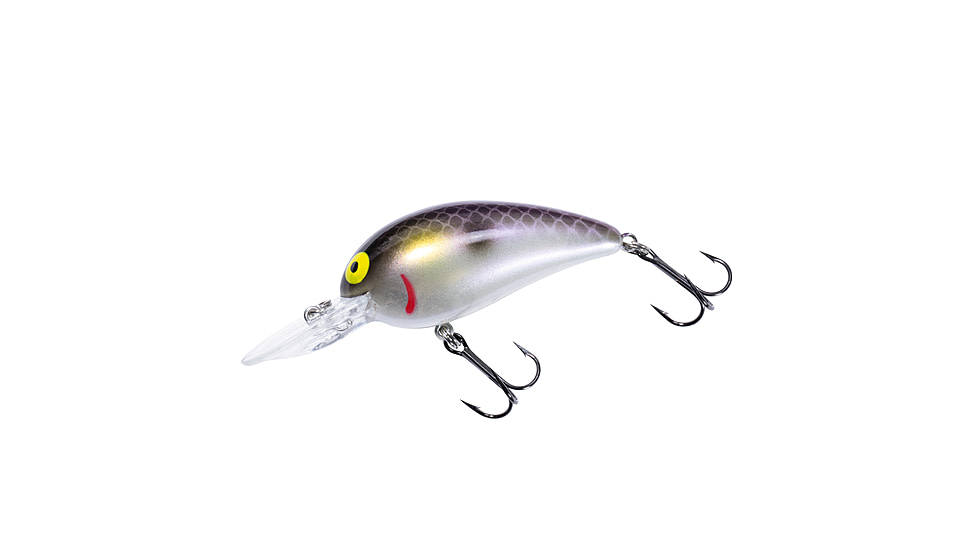 Bomber scharlso