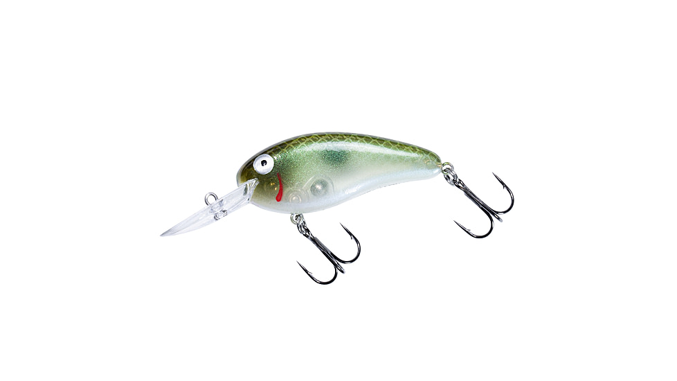 Bomber scharlso