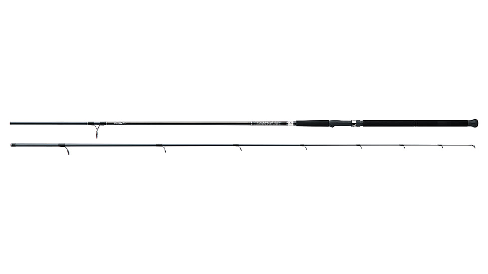 Daiwa Emcast Surf Casting Rod, 9ft, Heavy, Fast, 2 Pieces, EMCST902HFB