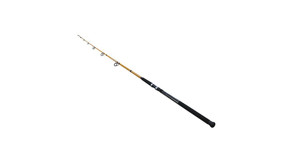 Daiwa FT Surf 2pc LnWt 10-25 FTS1102MFS