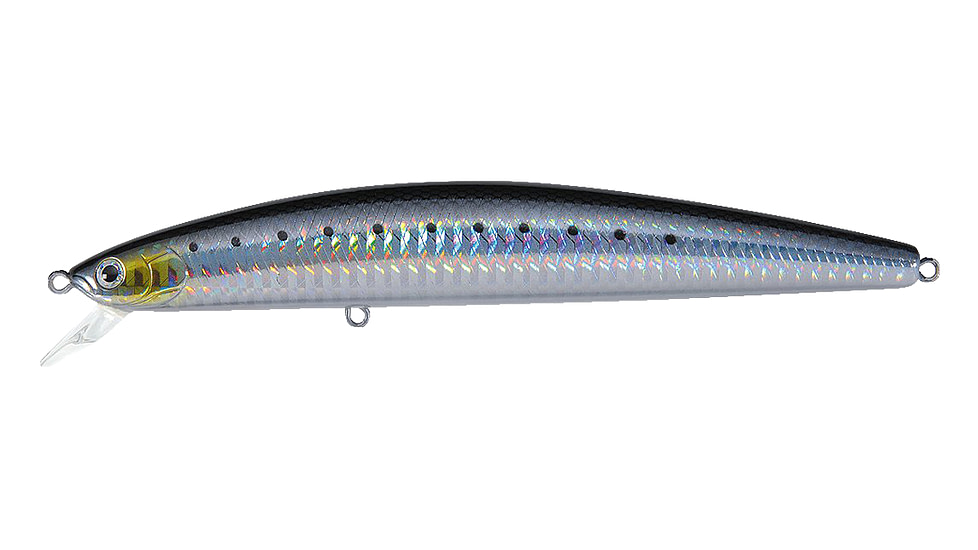 Daiwa Salt Pro Sinking Minnow Lure, 6in, 1 1/4oz, Laser Sardine, DSPM15S01