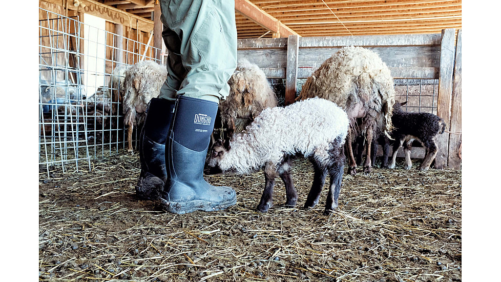 Dryshod Dungho Hi Tough Boots - Mens, Black/Grey, 10, DNG-MH-BK-010